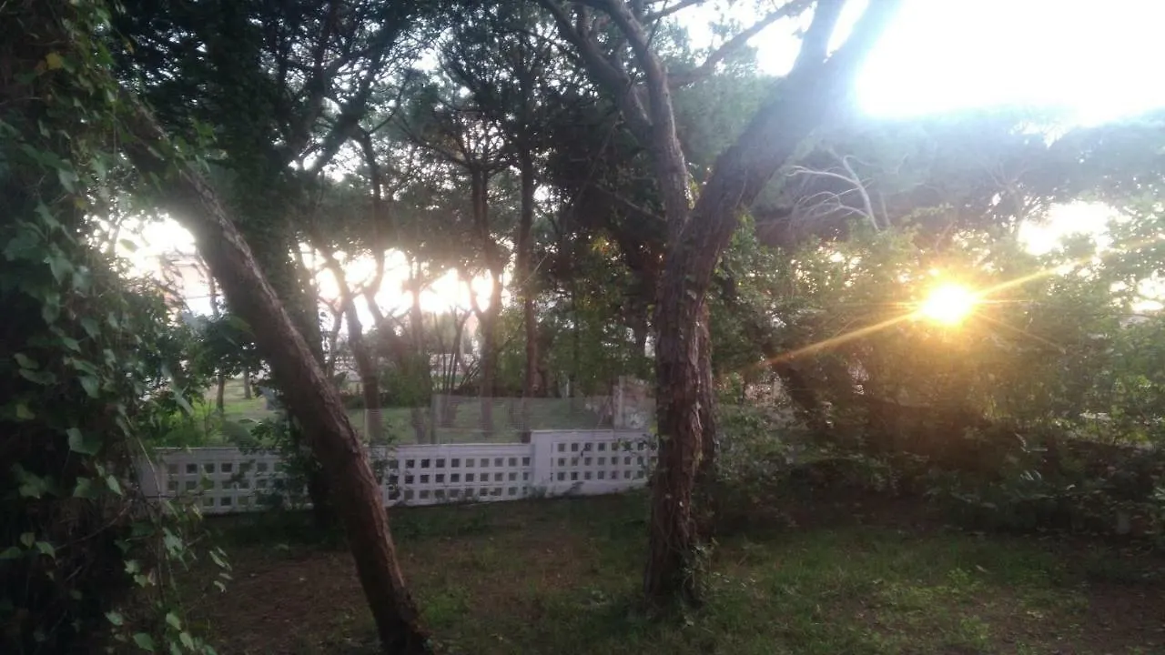 Chalet El Alcor Punta Umbria Villa Holiday home
